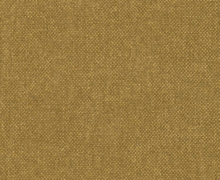 tkanina-tapicerska-Storm_48-musztarda.jpg