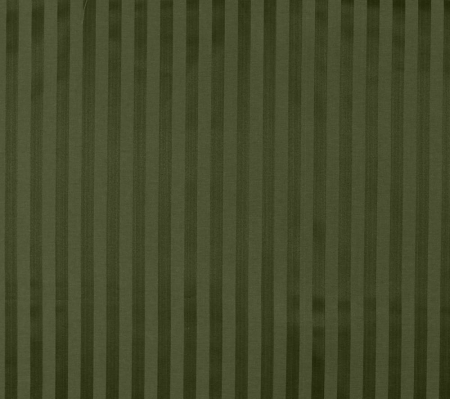 tkanina-tapicerska-stylowa-rapir_pas_zielony-wzor.jpg