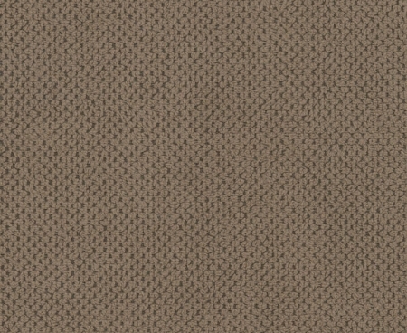 tkanina-tapicerska-Curio-20-ciemny beż.jpg