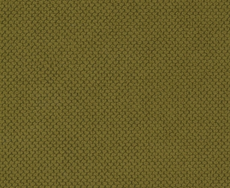 tkanina-tapicerska-Curio-35-oliwka.jpg