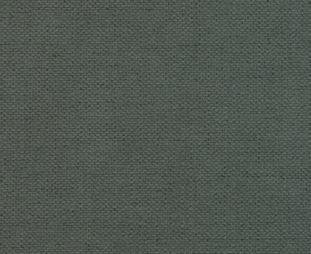 tkanina-tapicerska-Moly-37-brudny zielony.jpg