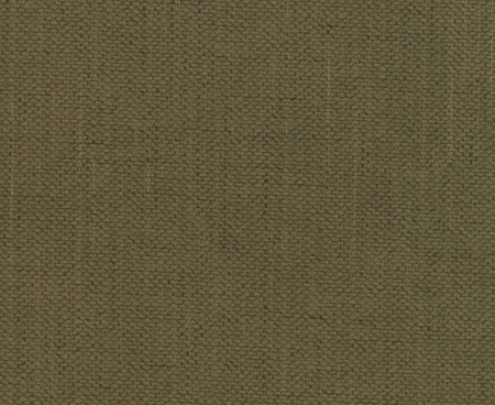 tkanina-tapicerska-Moly-38-zielona-oliwka.jpg