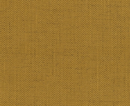 tkanina-tapicerska-Moly-46-musztarda.jpg