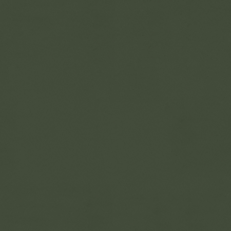 tkanina-tapicerska_typu_nubuk_NEOSUEDE_FOREST.jpg