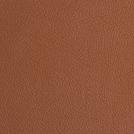 skora-naturalna-MONTANA-Camel_120031.jpg