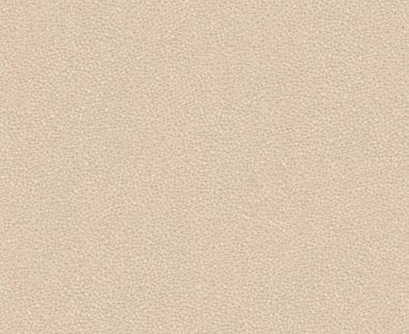 tkanina-tapicerska-Sand_03-latte.jpg