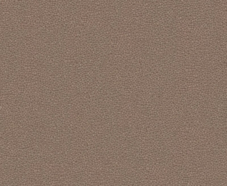tkanina-tapicerska-Sand_16-caffe latte.jpg