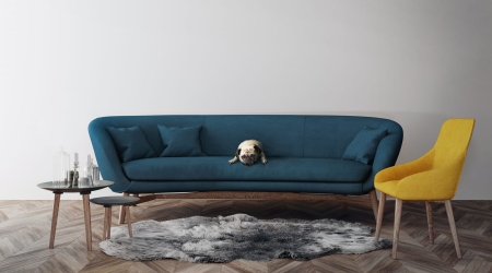 SOLAR tkanina obiciowa dla właćicieli zwierząt - aranżacja materiału na meblu