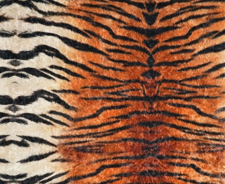 tkanina tapicerska tygrys  01 wzór animal print welur pomarańczowy czarny miękka struktura.jpg