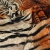 materiał-tapicerski-tygrys-01-crush-velvet.jpg