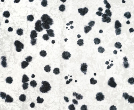 DALMATYŃCZYK 01 CRUSH VELVET – biało-czarna tkanina tapicerska we wzór dalmatyńczyka z miękką welwetową powierzchnią.jpg